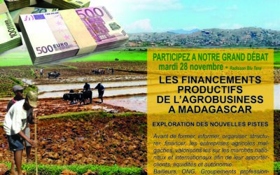 LES FINANCEMENTS PRODUCTIFS DE L’AGROBUSINESS A MADAGASCAR