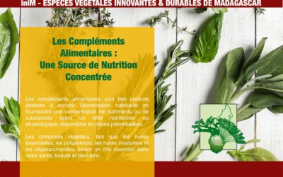 Les Compléments Alimentaires : Une Source de Nutrition Concentrée.